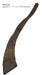 Gobi Goat Horn Natural Dog Chew - QTDAN - Small - 2