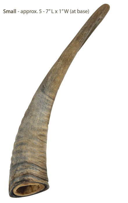 Gobi Goat Horn Natural Dog Chew - QTDAN - Small - 5