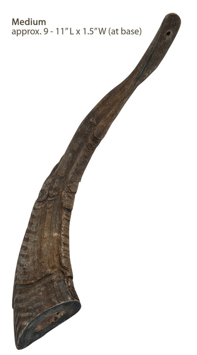 Gobi Goat Horn Natural Dog Chew - QTDAQ - Large - 18
