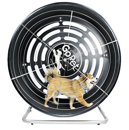 Small Dogs Go Pet Dog Exercise Wheel GoPet Treadwheel, Toy/Small