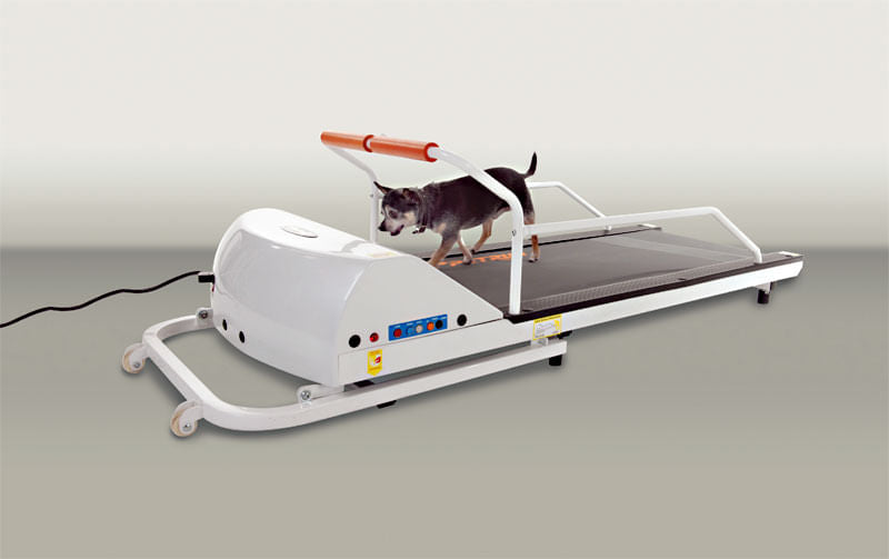 PetRun Small Breed Treadmill (PR710F) -   