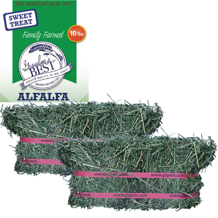 Grandpa's Best Alfalfa Hay Bale - 010BEST-000635 - Green - 10 lbs - Alfalfa Hay - 3