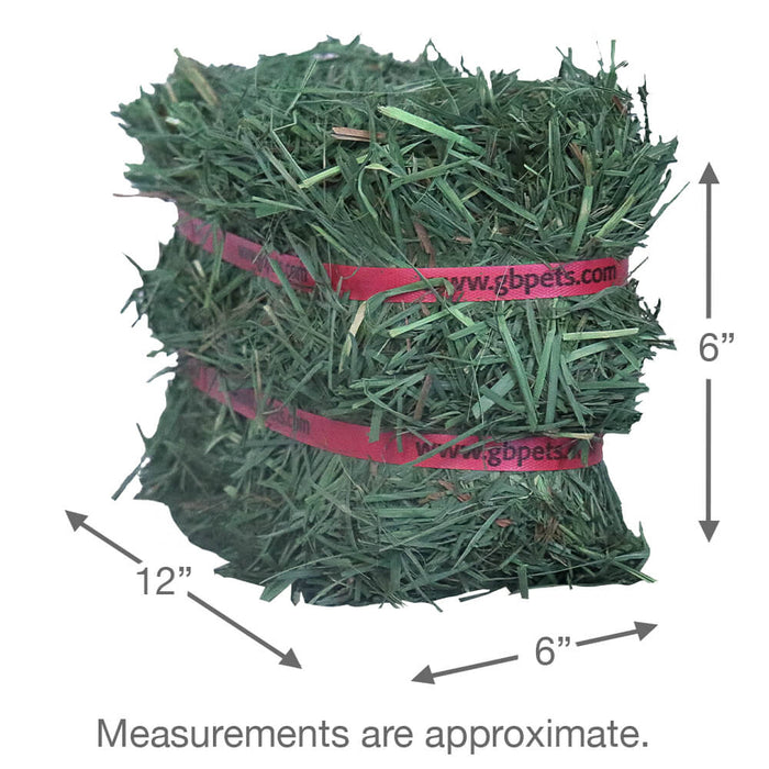 Grandpa's Best Orchard Grass Bale - 010BEST-000626 - Green - 10 lbs - Alfalfa Hay - 6