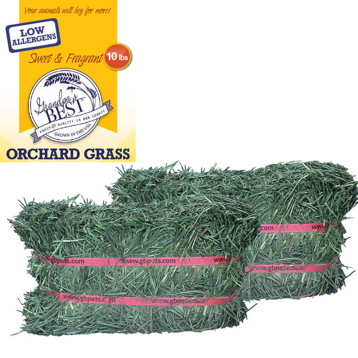 Grandpa's Best Orchard Grass Bale - 010BEST-000626 - Green - 10 lbs - Alfalfa Hay - 3