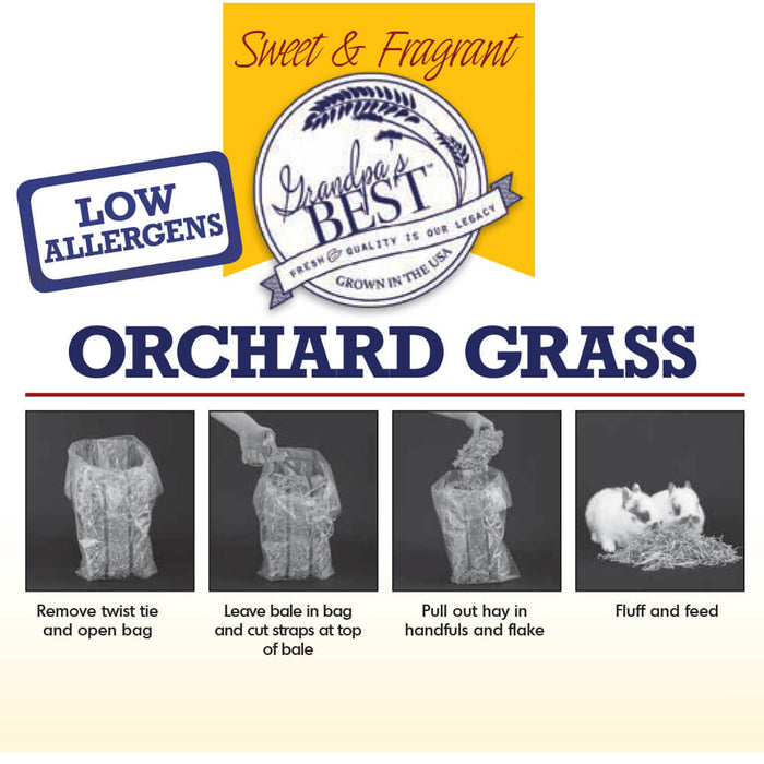 Grandpa's Best Orchard Grass Bale - 010BEST-000626 - Green - 10 lbs - Alfalfa Hay - 4
