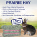 Grandpa's Best Prairie Hay - 010BEST-06213 - Green - 10 lbs - Alfalfa Hay - 6