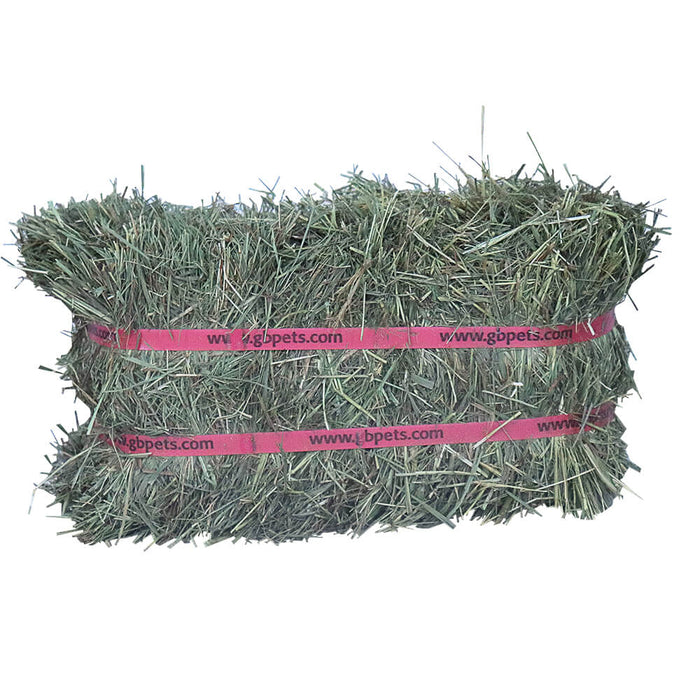 Grandpa's Best Prairie Hay - 010BEST-06213 - Green - 10 lbs - Alfalfa Hay - 5