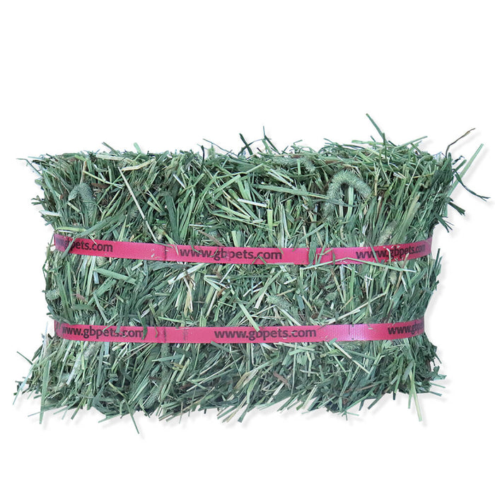 Grandpa’s Best Timothy Hay Loose or Bale – Premium High Fiber Small Pet Hay - 010BEST-06084 - 40 oz - Bale - Timothy - 8