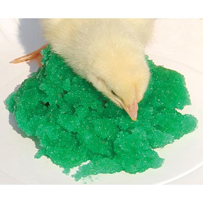 GroGel Plus with DPP - Jeffers - Poultry Supplies > Poultry Supplies