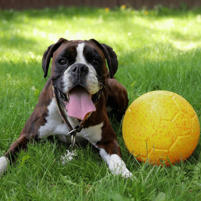 2025 Sunshine Summer Jolly Soccer Ball Color Yellow/Orange