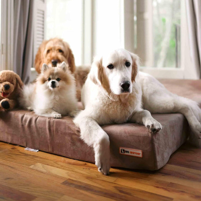 7 Headrest Bed Color Khaki