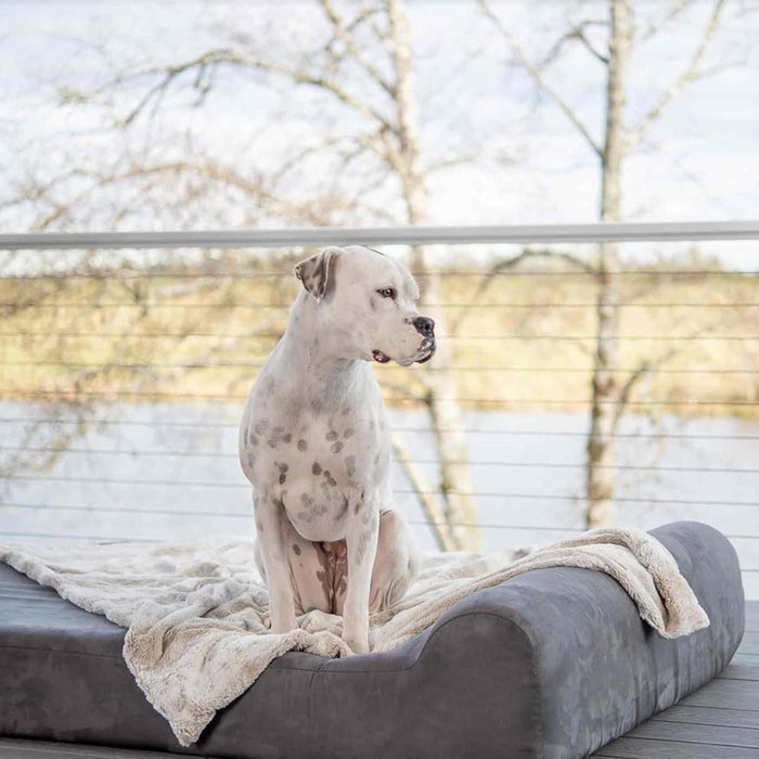 7 Headrest Bed Color Chocolate