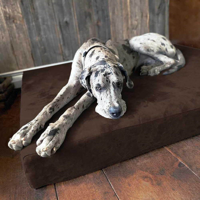 7 Sleek Bed Color Chocolate