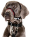 Halti OptiFit Headcollar - Jeffers - Dog Supplies > Dog Apparel > Dog Collars, Harnesses, & Leashes