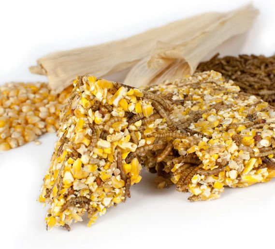 Happy Hen Treat Square - HHT18 - Happy Hen Treat Square, Sunflower & Mealworm, 6.5 oz - 6