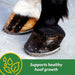 H.B. 15 Pellets - Jeffers - Animal Health & Wellness > Foot & Hoof Care