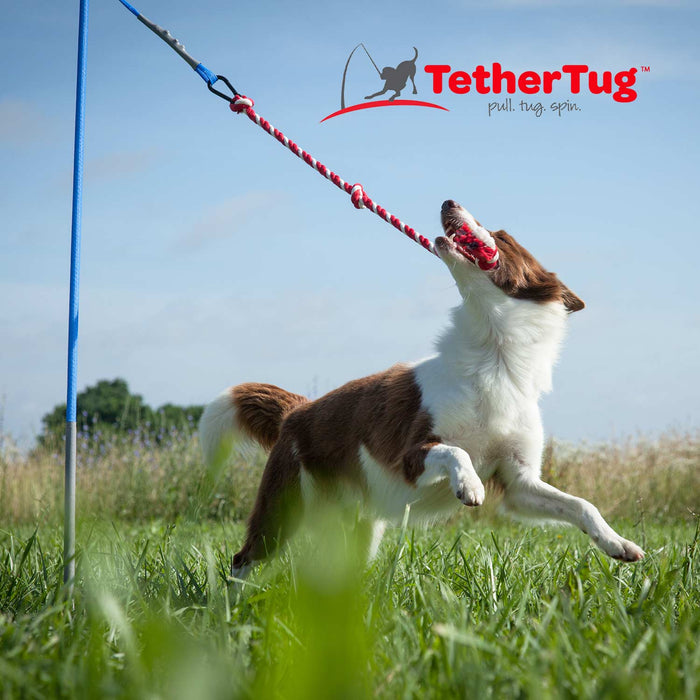 Small Tether Tug -   