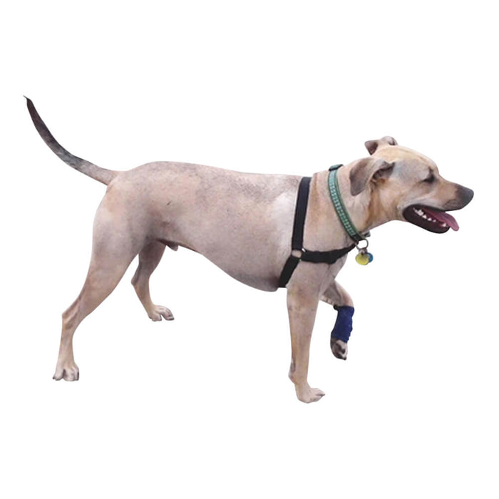 Healers Leg Wrap for Dogs - Jeffers - Animal Health & Wellness > Medical Supplies