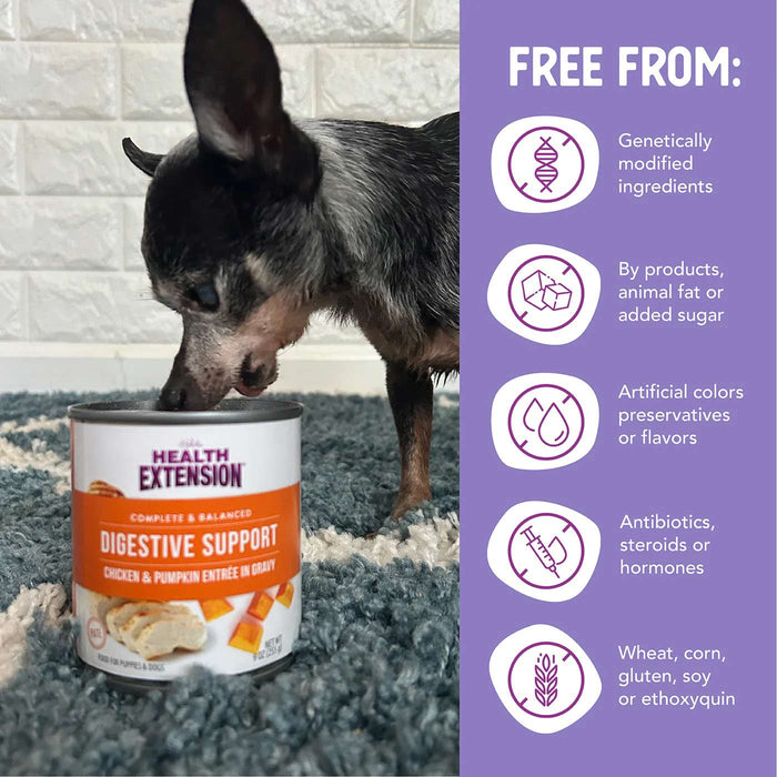 Health Extension Digestive Support Canned Food for Dogs, 9 oz - HE2YZ - 9 oz - Chicken & Pumpkin - 1 ct - 27