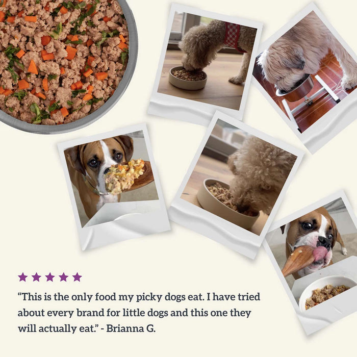 Health Extension Grain - Free Dog Food Pouches - Gently Cooked in Bone Broth - HE2AZ - Duck & Kale - 3 oz - 1 Pouch - 5