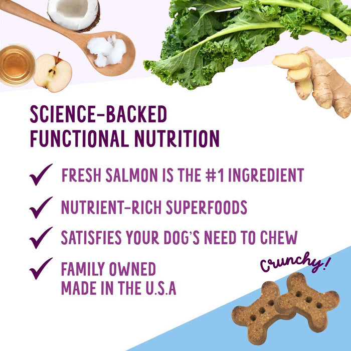 Health Extension Grain - Free Oven Baked Dog Treats, 6 oz - HE2AK - 6 oz - Salmon & Kale - 5