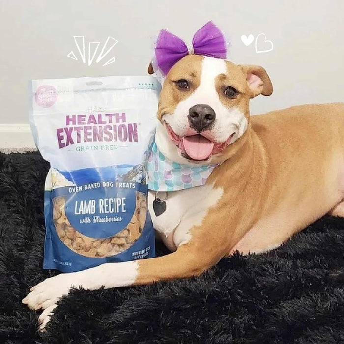 Health Extension Grain - Free Oven Baked Dog Treats, 6 oz - HE2AL - 6 oz - Lamb & Blueberries - 11