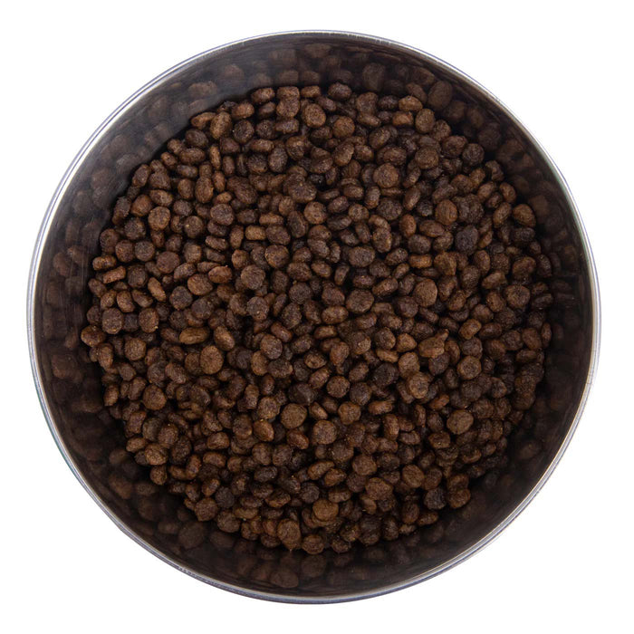 Health Extension Grain - Free Venison Little Bites Small Breed Dry Dog Food - HE2M - Buffalo Whitefish & Sweet Potato - 3.5 lb - 18