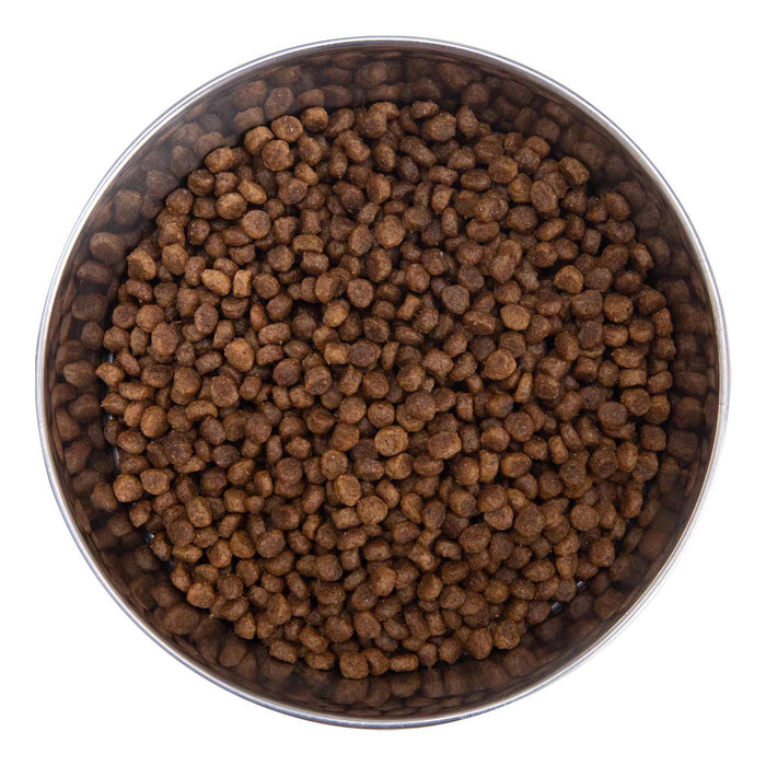 Health Extension Little Bites Chicken & Brown Rice Recipe Small Breed Dry Dog Food - HE2G - 4lb - Chicken & Brown Rice - 3