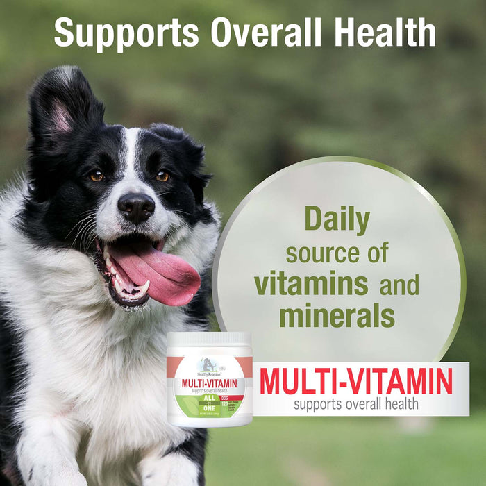 Healthy Promise Dog Multivitamin Soft Chews, Savory Chicken, 120 ct - Jeffers - Animal Health & Wellness > Vitamins & Supplements