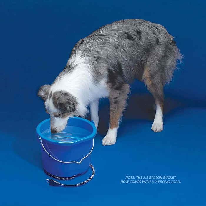 Heated Flat - Back Bucket with Built - in Thermostat - ANA1 - 2.5 gallons - 6