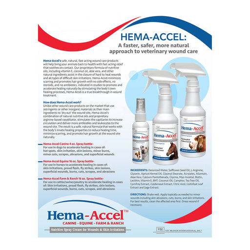 Hema - Accel Canine All Natural Wound Care Spray, 4 oz - VB1J - 4oz - 2