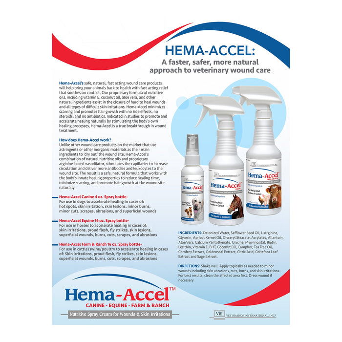 Hema - Accel Canine All Natural Wound Care Spray, 4 oz - VB1J - 4oz - 2