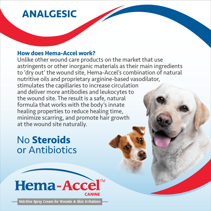 Hema - Accel Canine All Natural Wound Care Spray, 4 oz - VB1J - 4oz - 3