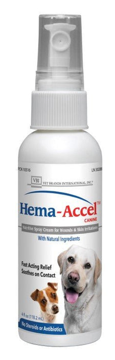 Hema - Accel Canine All Natural Wound Care Spray, 4 oz - VB1J - 4oz - 1
