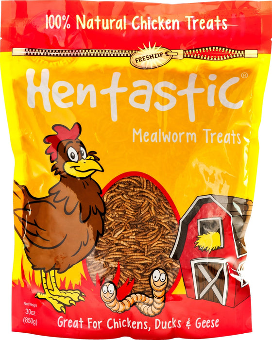 Hentastic Dried Mealworms - Jeffers - Poultry Supplies > Poultry Supplies