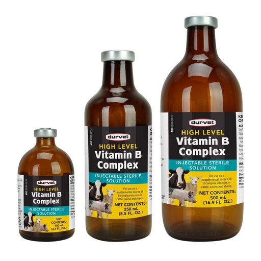 Hi - Level B Complex, 100 ml - Jeffers - Animal Health & Wellness > Vitamins & Supplements