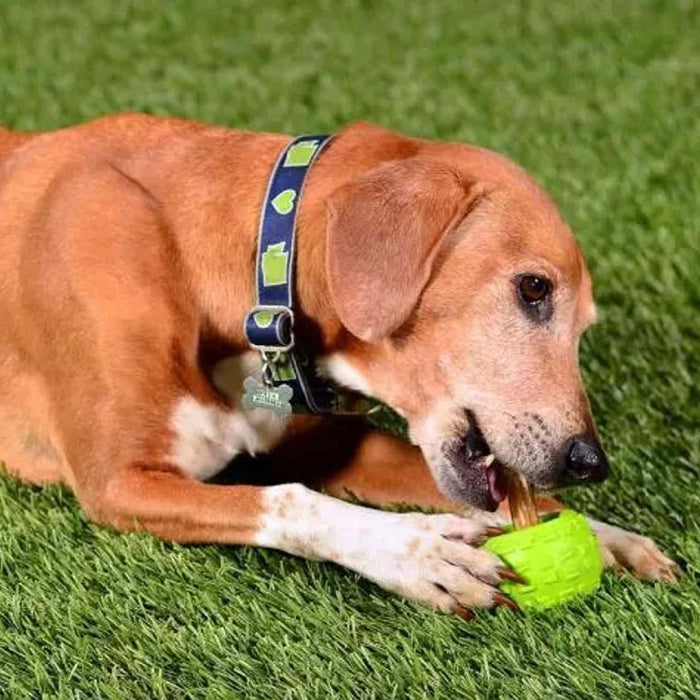 High Roller Ball Plus Rubber Dog Toy - CD2CL - Large - Green - 1 ct - 9