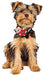 Holiday Poinsettia Collar Slide - Jeffers - Dog Supplies > Dog Apparel