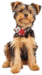 Holiday Poinsettia Collar Slide - Jeffers - Dog Supplies > Dog Apparel