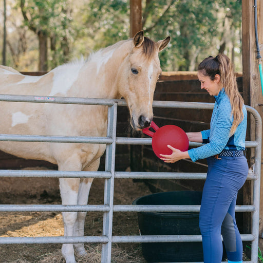 Horseman's Pride Scented Jolly Ball 10" Horse Toy – Durable, Chew - Resistant Equine Enrichment Ball for Outdoor Fun - H7B1 - Red (Strawberry) - 2