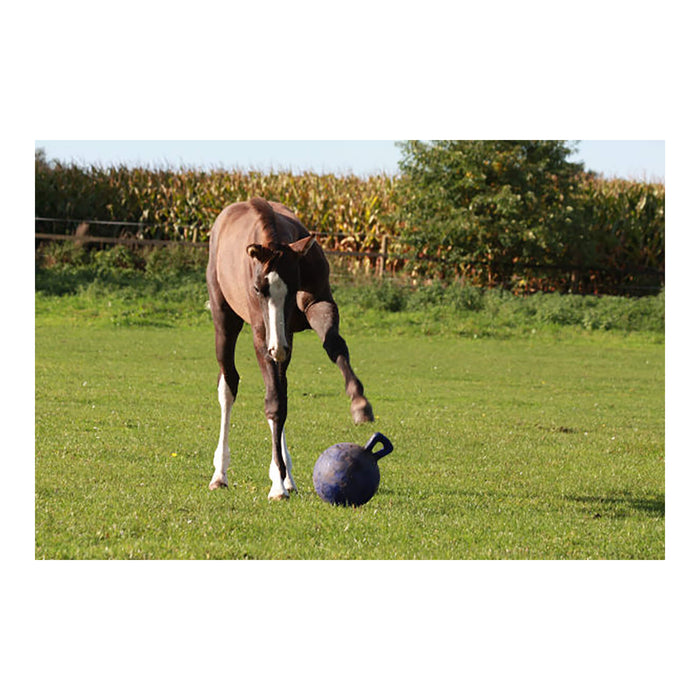 Horseman's Pride Scented Jolly Ball 10" Horse Toy – Durable, Chew - Resistant Equine Enrichment Ball for Outdoor Fun - H7WD - Blue (Wild Berry) - 7