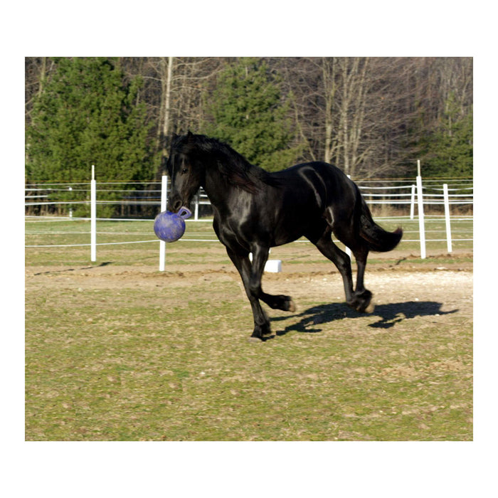 Horseman's Pride Scented Jolly Ball 10" Horse Toy – Durable, Chew - Resistant Equine Enrichment Ball for Outdoor Fun - H7WD - Blue (Wild Berry) - 6