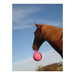 Horseman's Pride Scented Jolly Ball 10" Horse Toy – Durable, Chew - Resistant Equine Enrichment Ball for Outdoor Fun - H7WF - Pink (Bubblegum) - 13