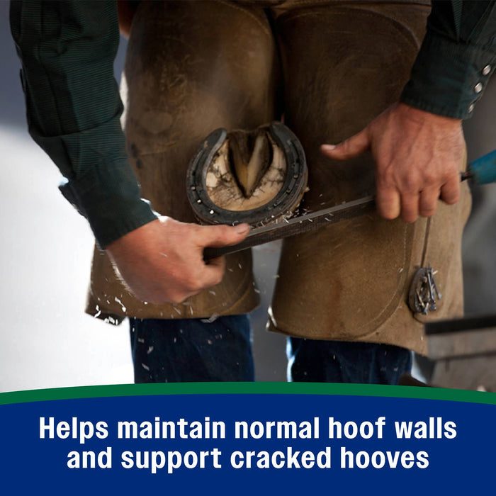 Horseshoer's Secret Pelleted Hoof Supplement - FAFF - 38 lbs - 21