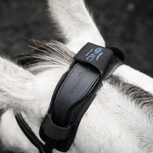 Horseware Ionic Poll Cover for Horses, Stress & Tension Relief Accessory - FOCAJ - Black - One Size Fits Most - 1