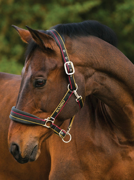 Horseware Rambo Padded Halter - Jeffers - Horse Supplies > Horse Tack > Horse Halters