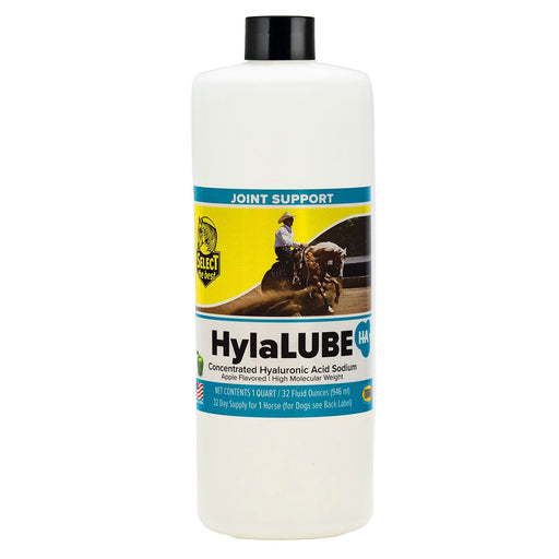 HylaLUBE HA Liquid Joint Supplement for Horses & Dogs – Hyaluronic Acid for Mobility & Joint Health, Apple Flavor - SELCS - 32 oz - 2