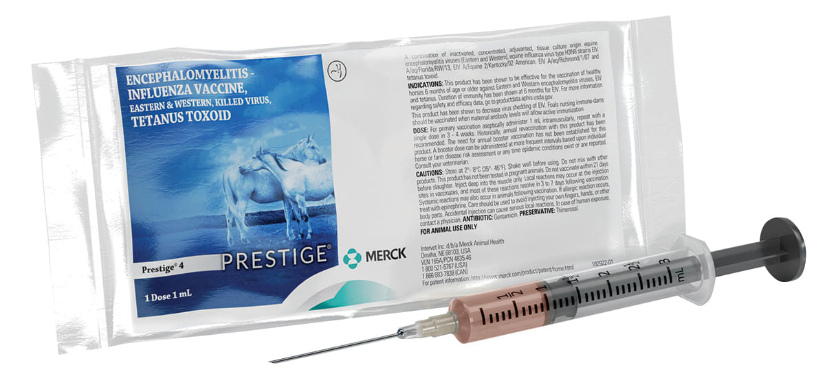 Prestige 4 - 1 Dose  