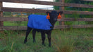 Insulated Calf Blanket -   