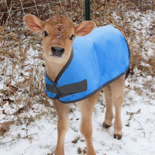 Insulated Calf Blanket -   